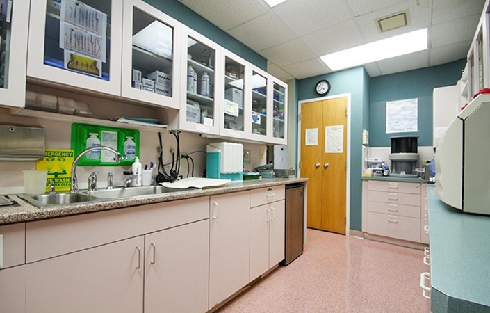 Dental equipment and materials stored in cabinets